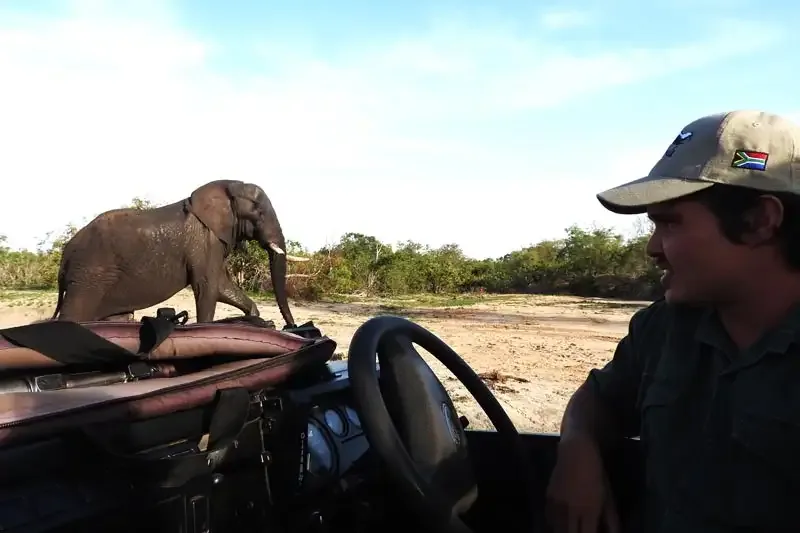 Braai Safaris Lodge gallery 4