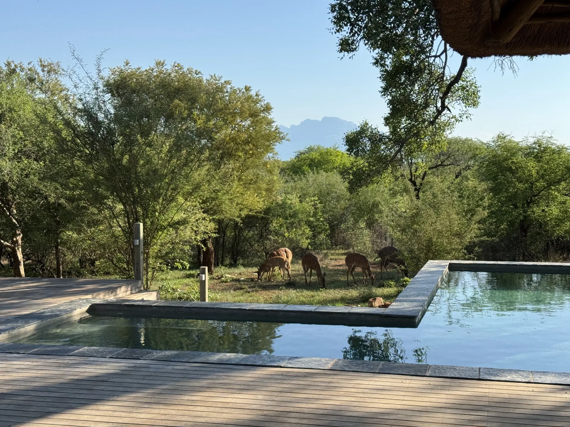 Villa Impala, Zandspruit, Hoedspruit, South Africa